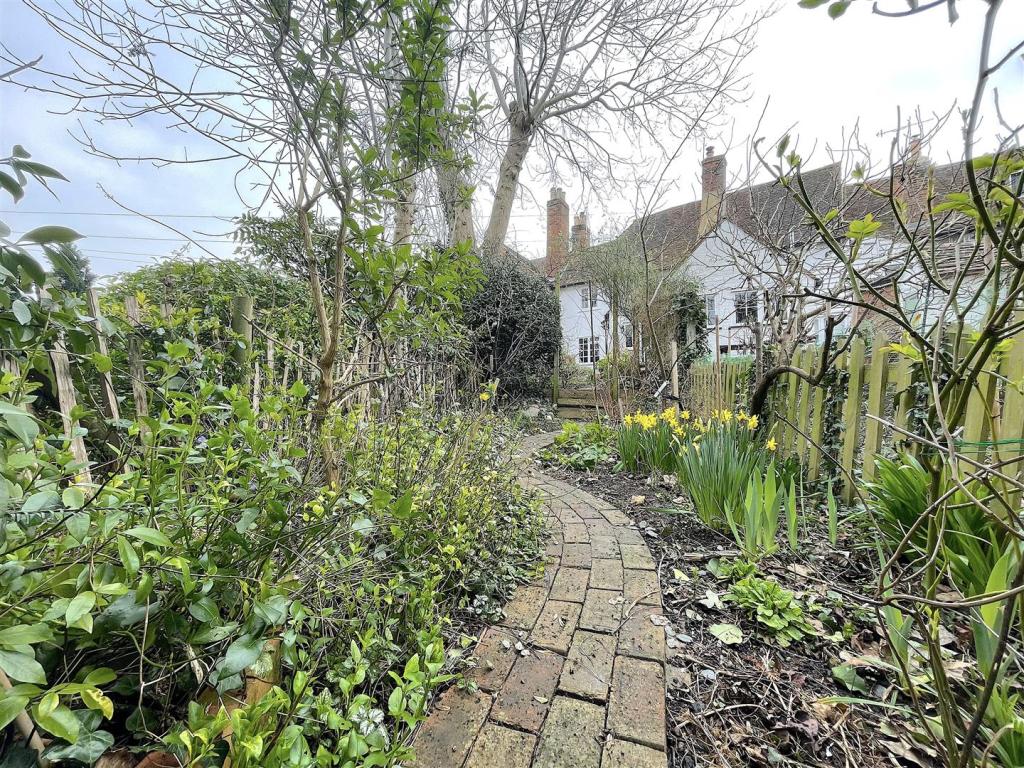 Garden (7).jpeg