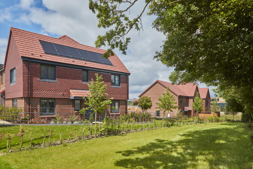 Streetscene Photography