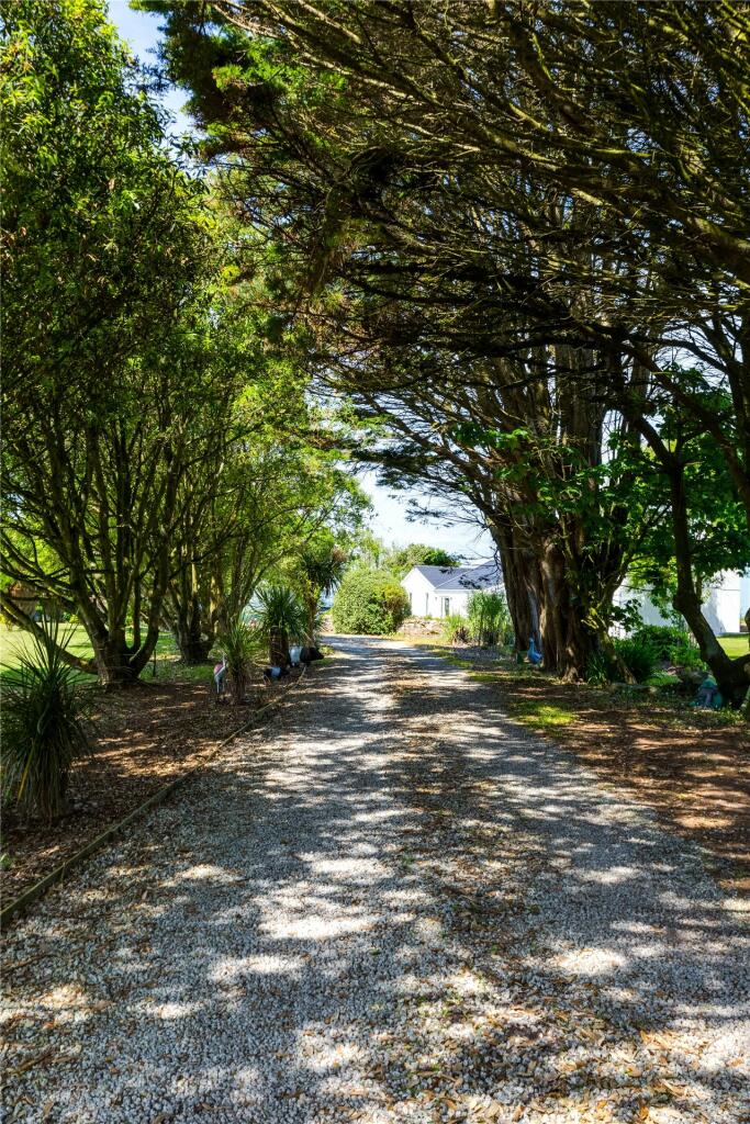 Driveway