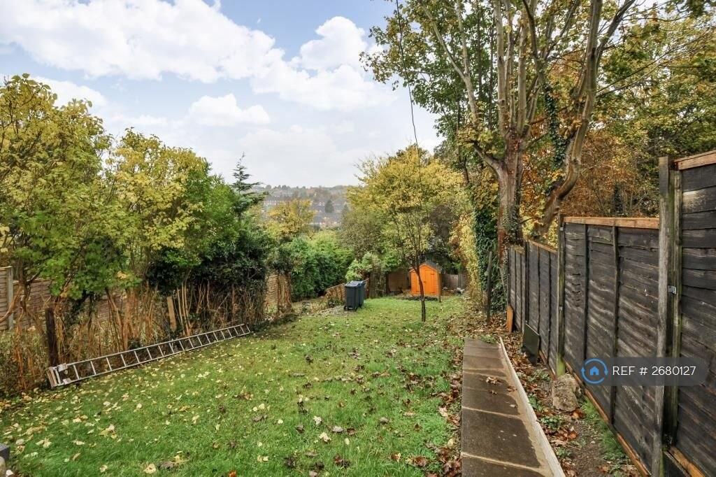 Back Garden