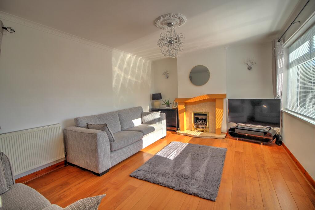 IMG_2973_4_5_Optimizer