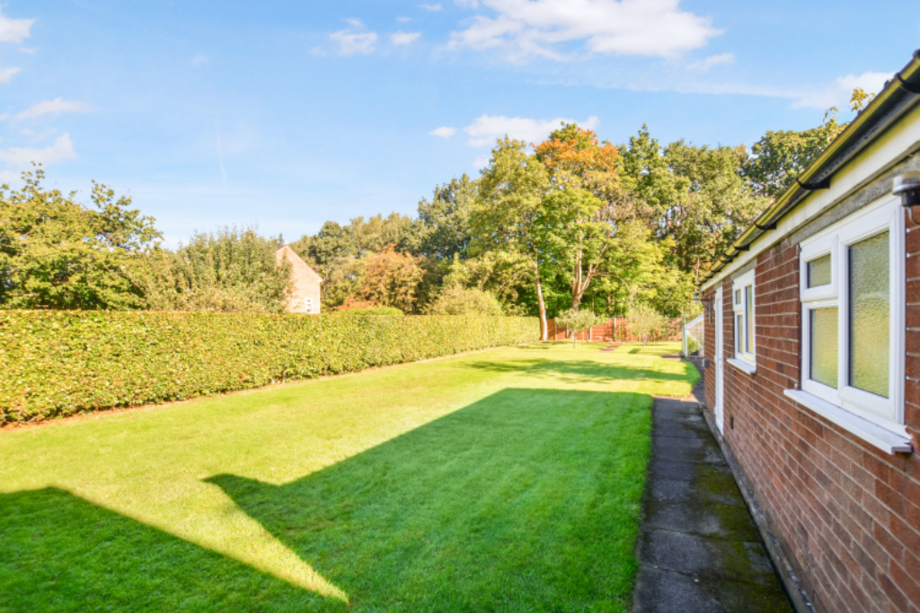 M18 (Portal Size).jpg