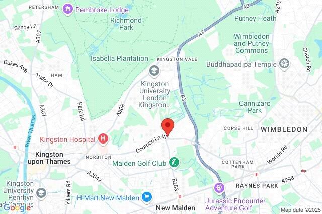 Google Maps Image