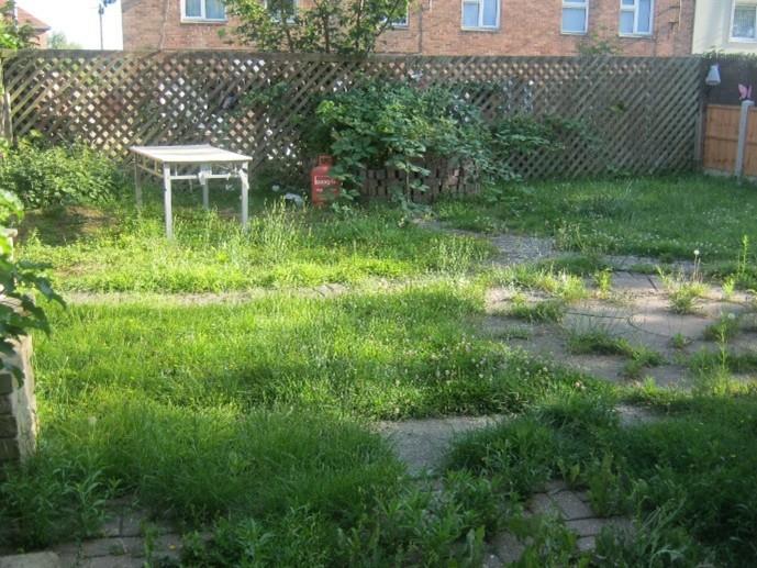 REAR GARDEN 2.jpg