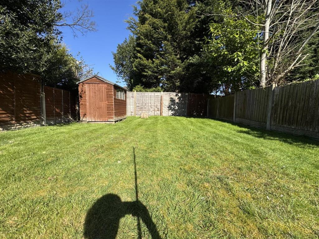 IMG_8970 (Large).JPG