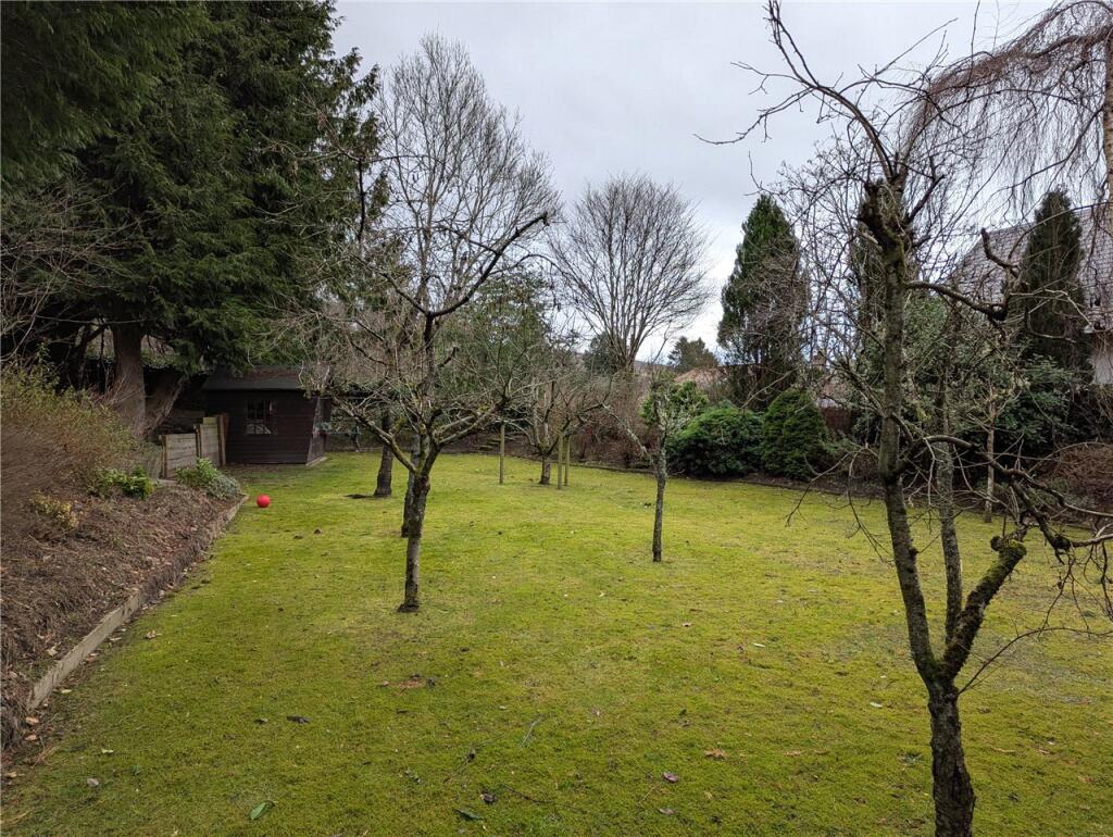 The Orchard Plot