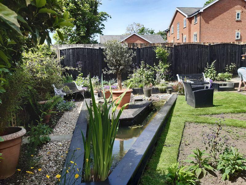 Garden Overview With Pond
