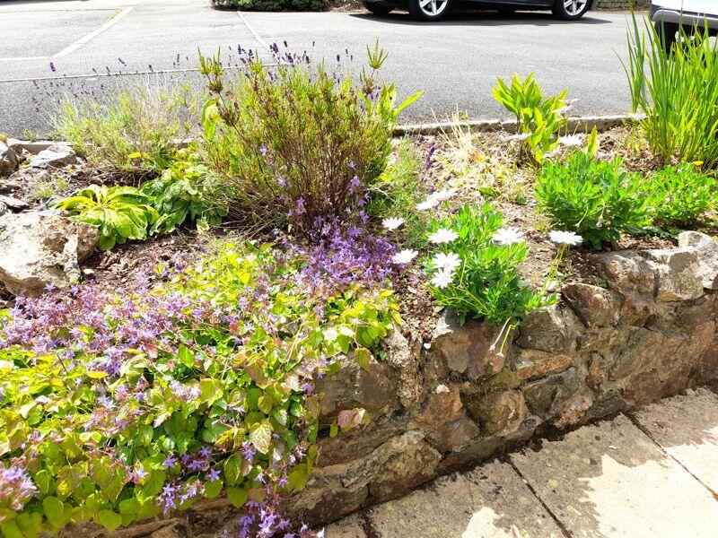 Flower Bed