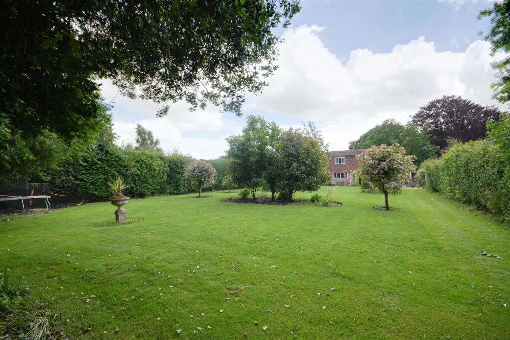 Rear gardens