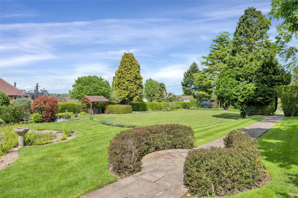 Garden In Summer