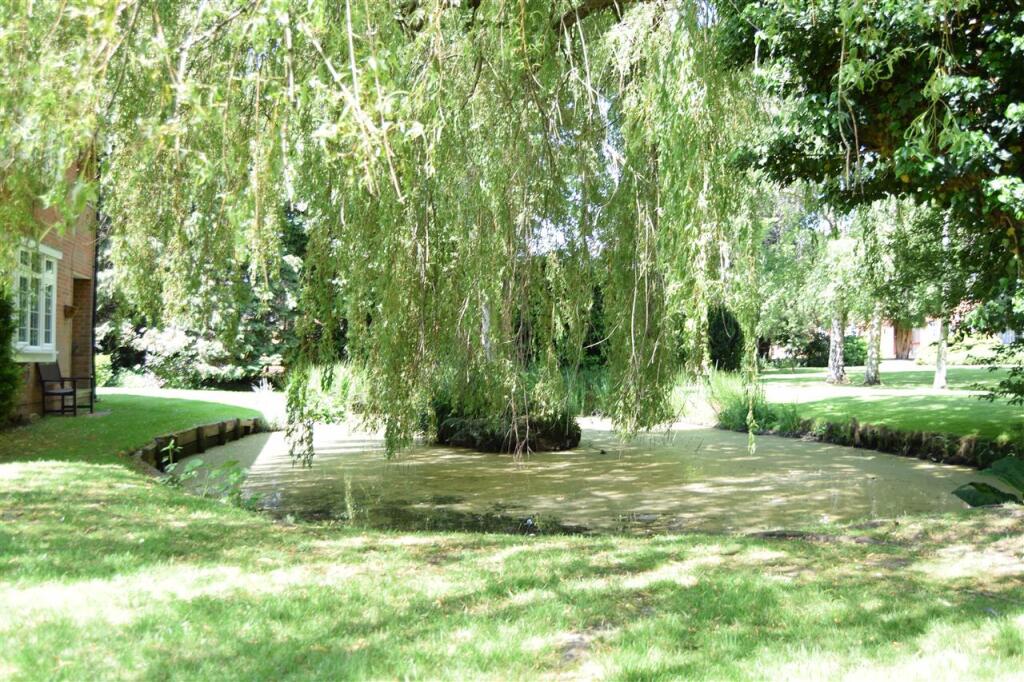 POND AREA