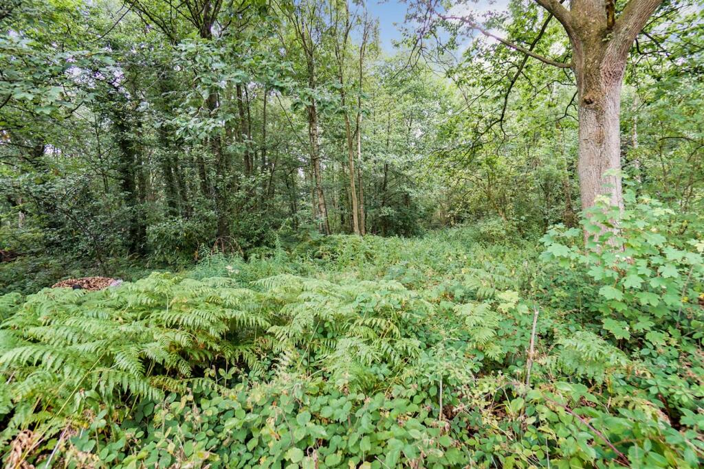 Woodland