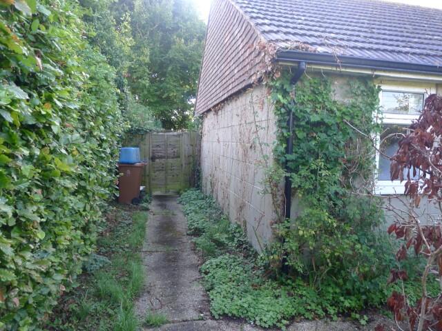 2 (Small) T202409251552.jpg