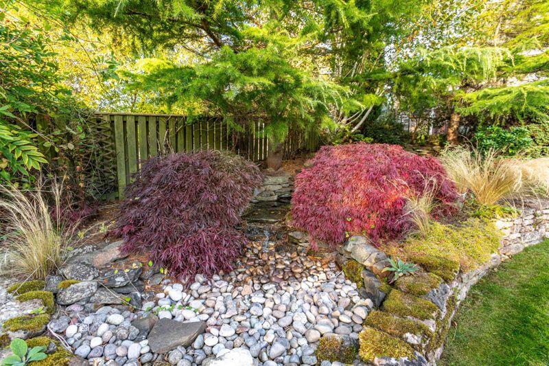 Water Feature