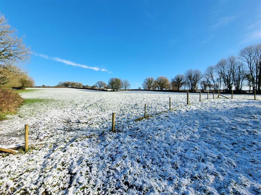 Field View.jpg