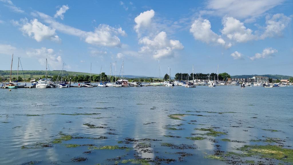 Bembridge Harbour