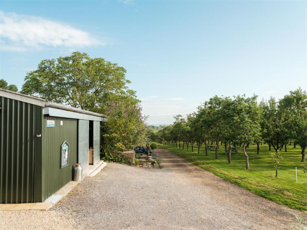 The Cidery.jpg