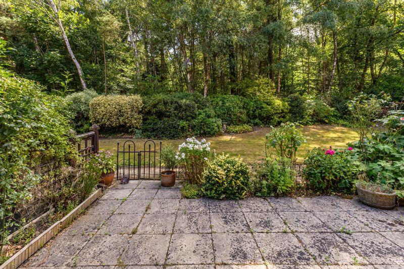 Patio Garden