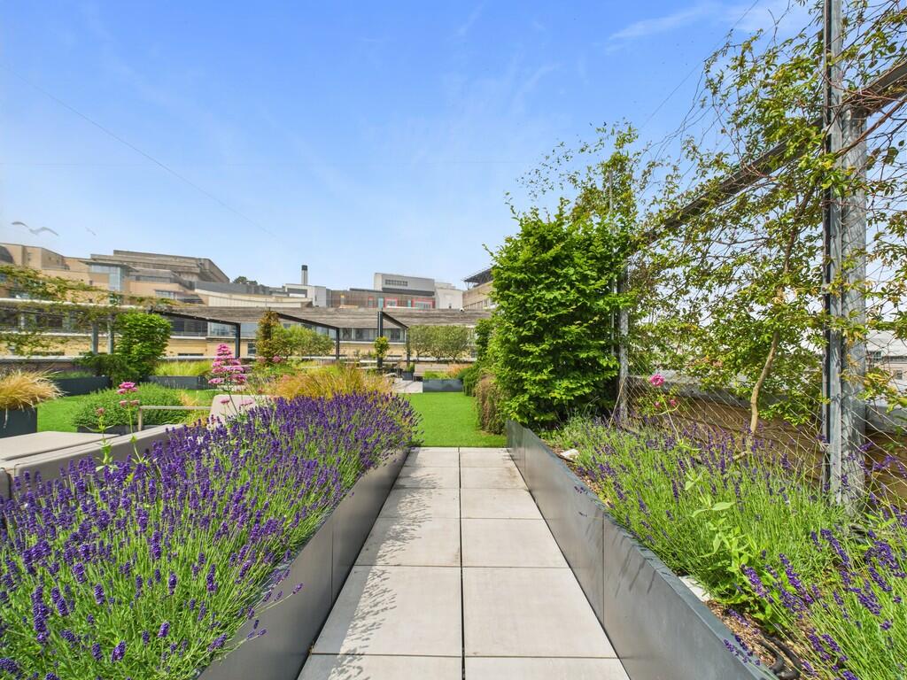 Communal Roof Gar...