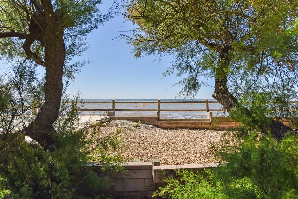 Ph66_4499279 (1024x683).jpg