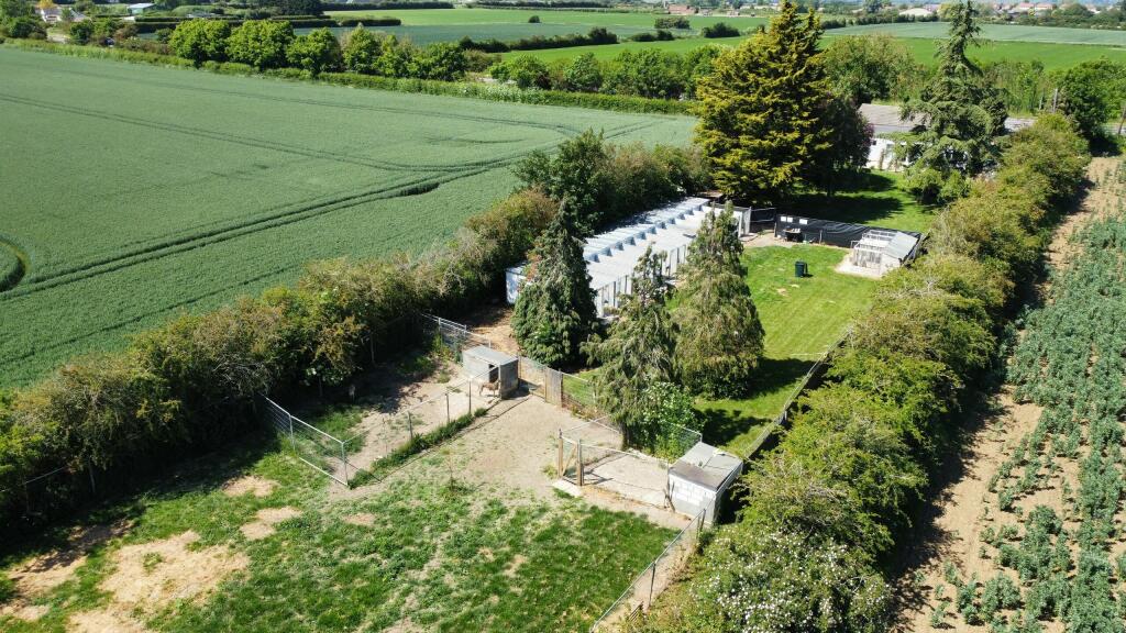 Garden Drone 3