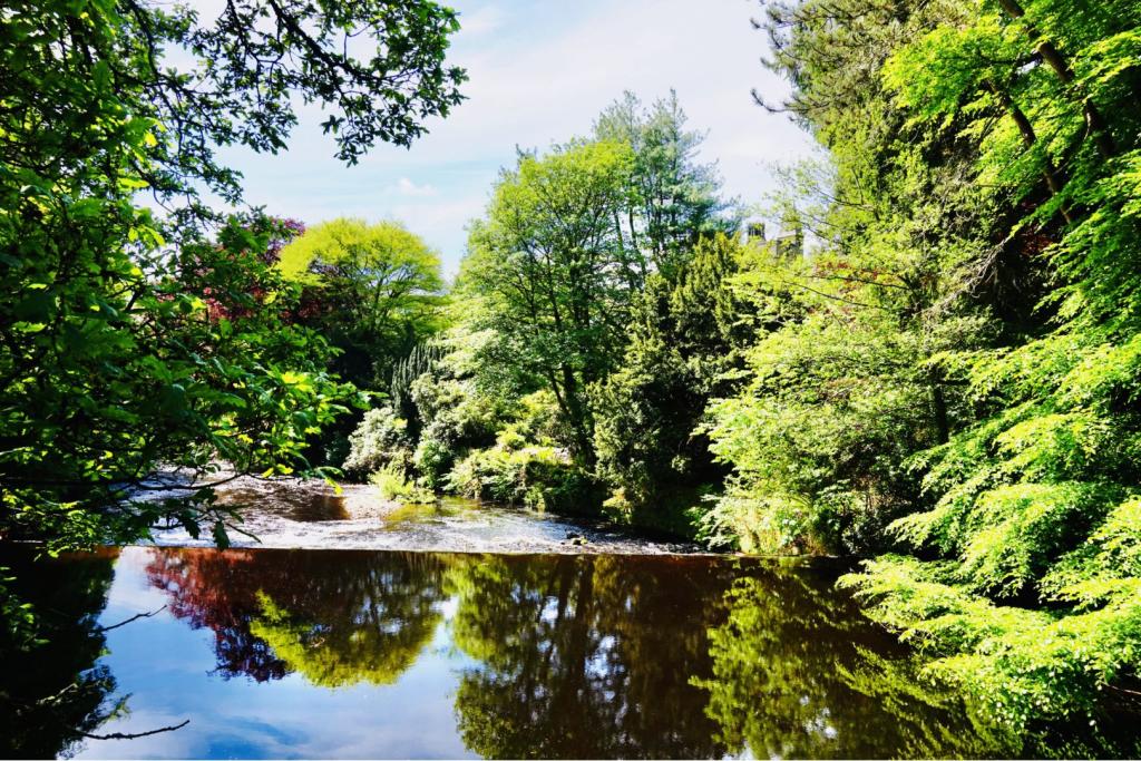 Nearby River