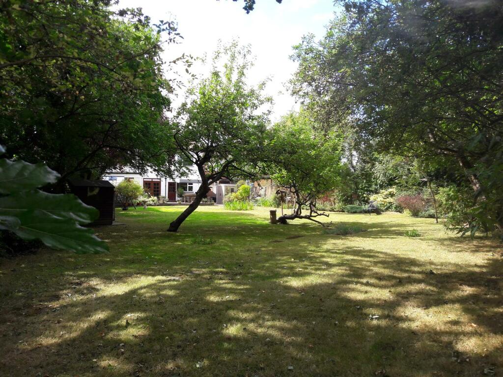 Garden.jpg