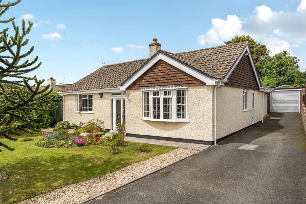 Trehill and Driveway.jpg