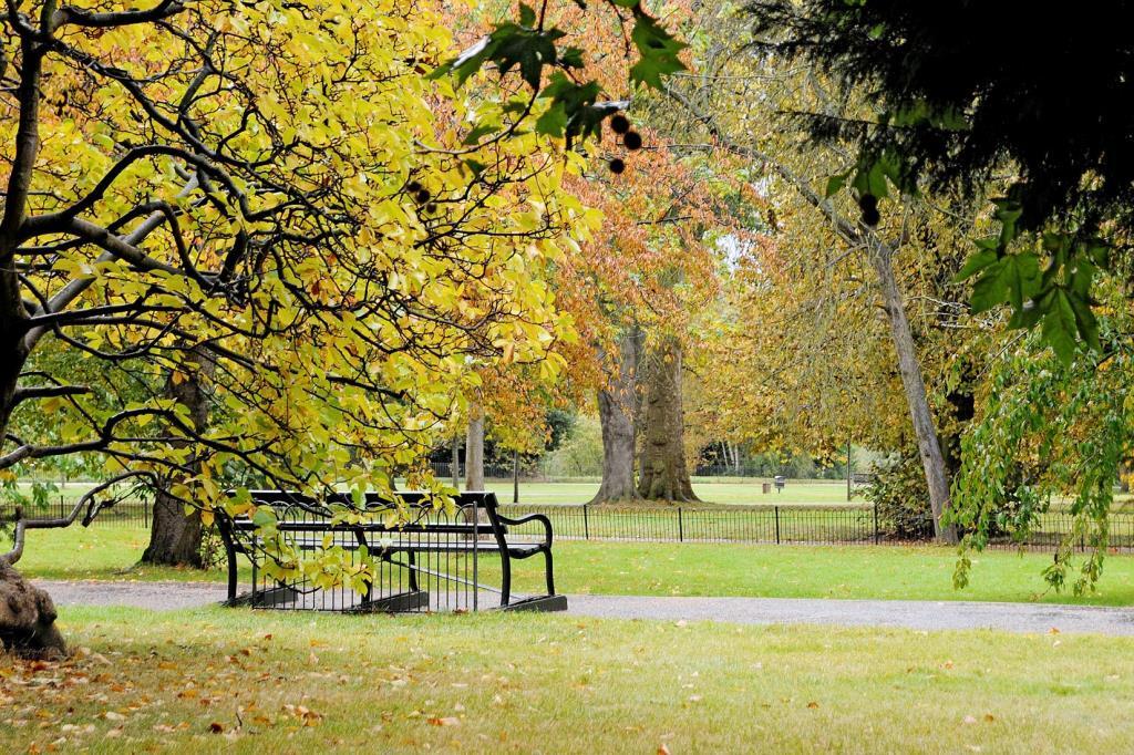 Local Area Shot: Hyde Park