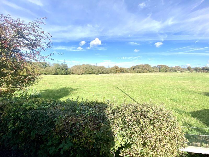 View from Decking