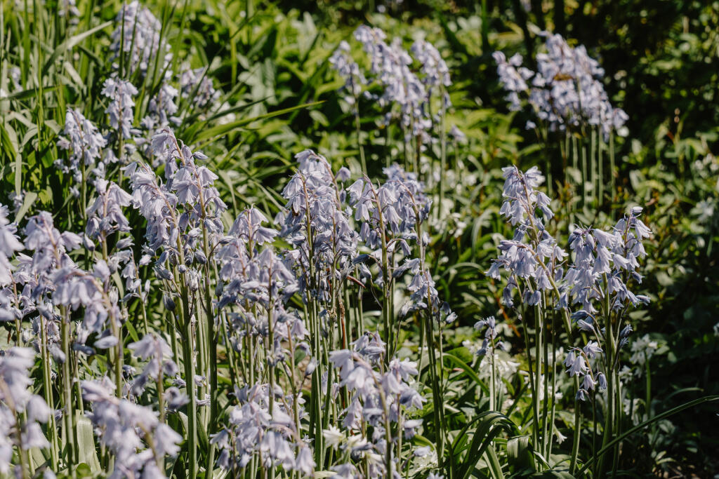 280521 - Upper Street_High Res-23.jpg