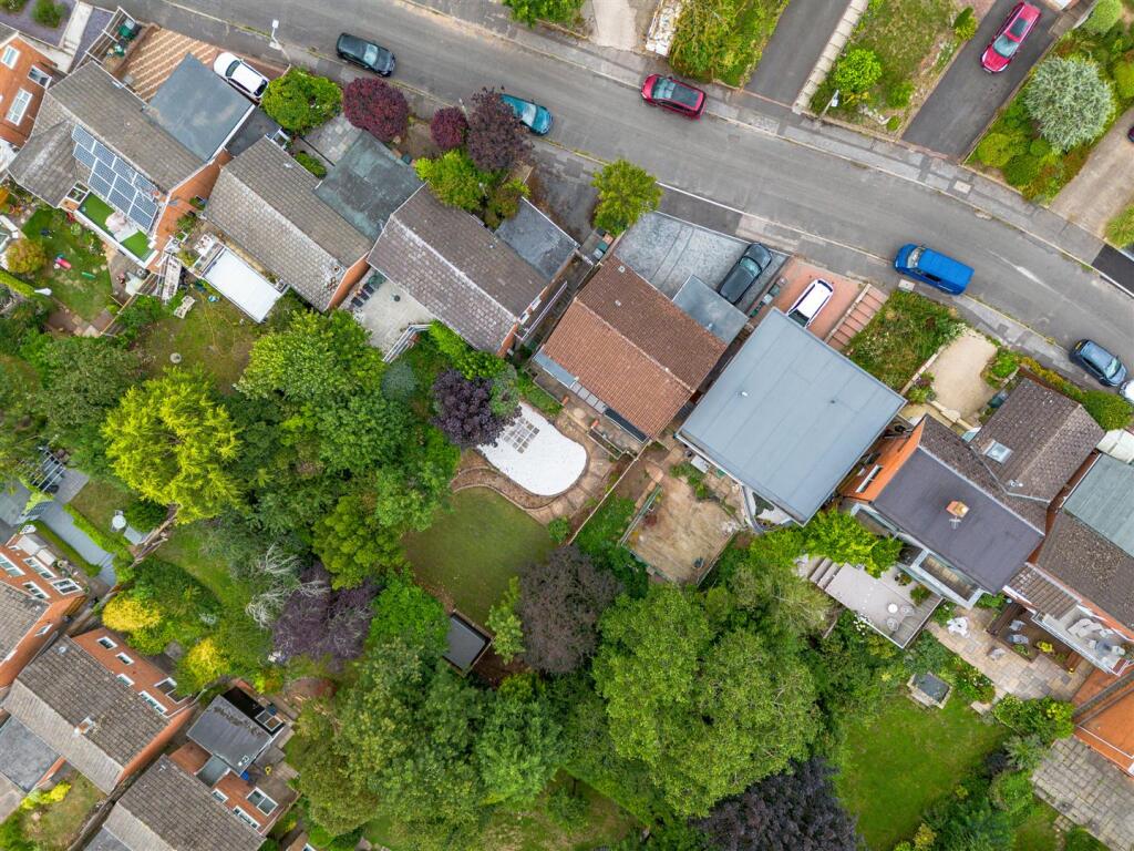 DJI_0667.jpg