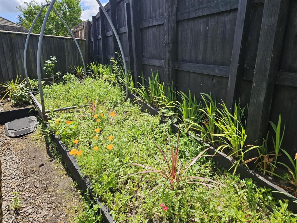 Wild Flower Garden.jpg