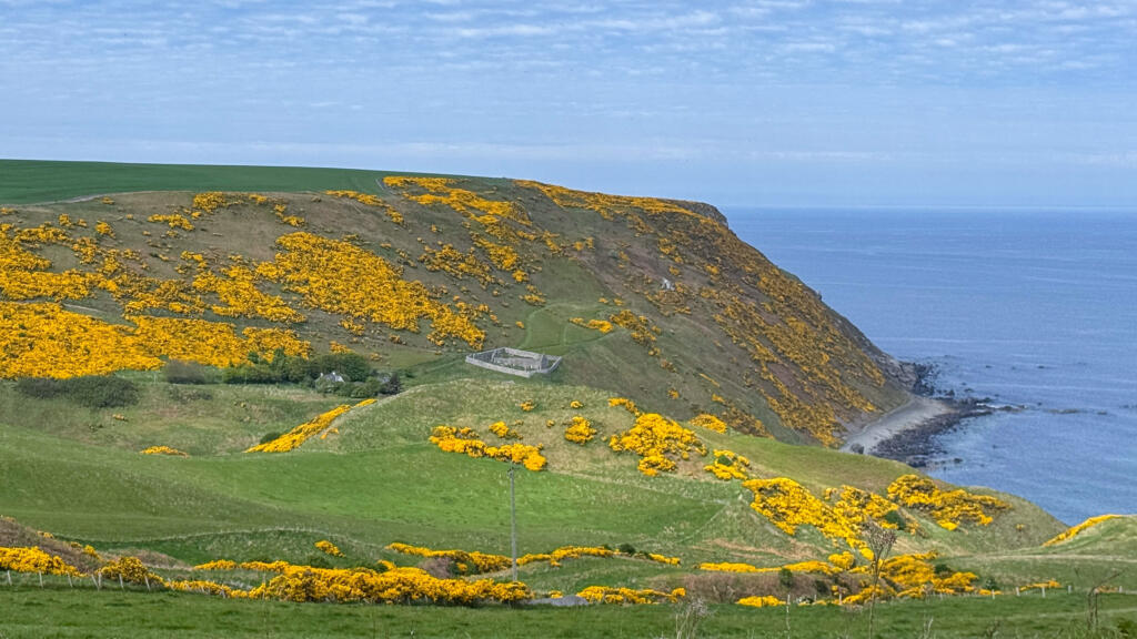 Gardenstown View