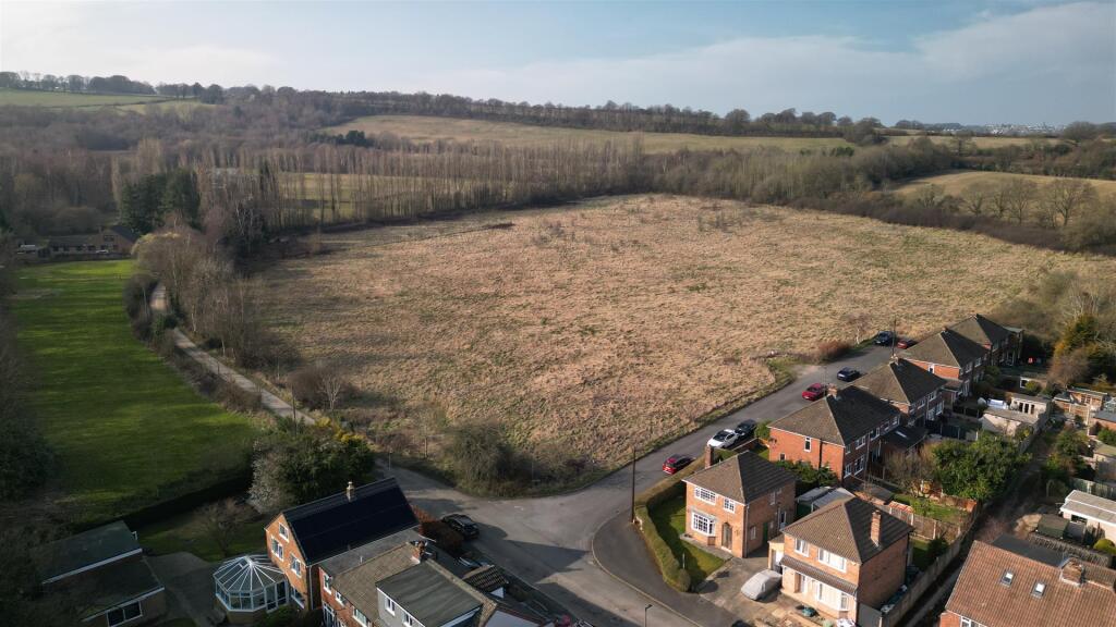 Drone shot.JPG