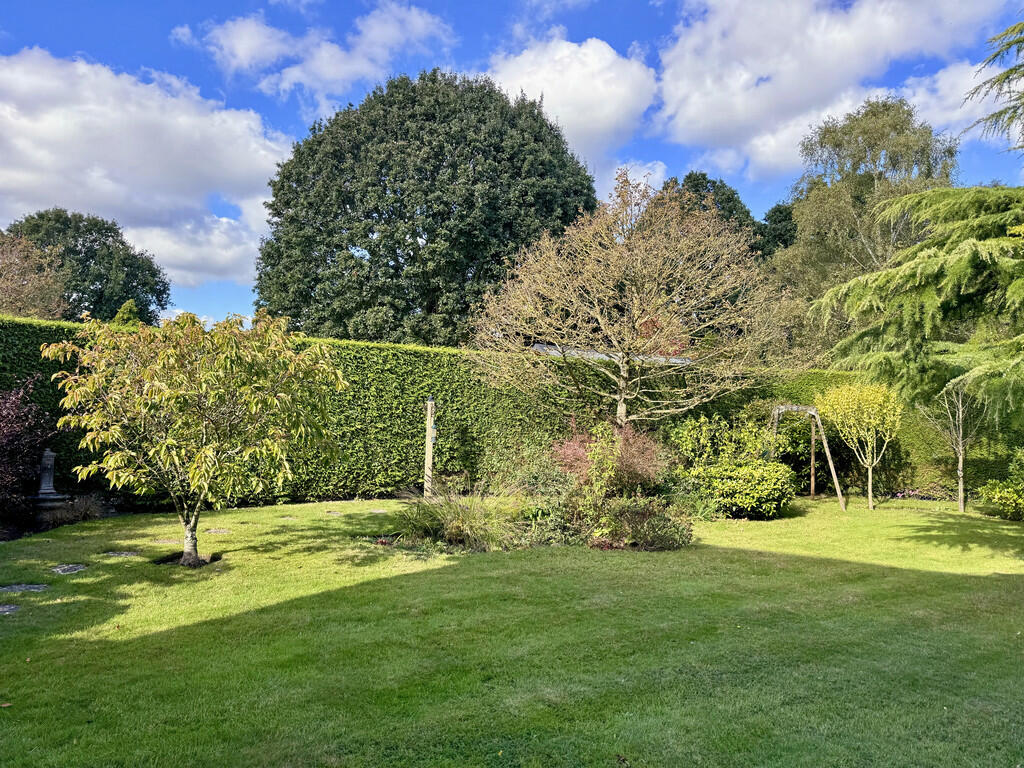 garden