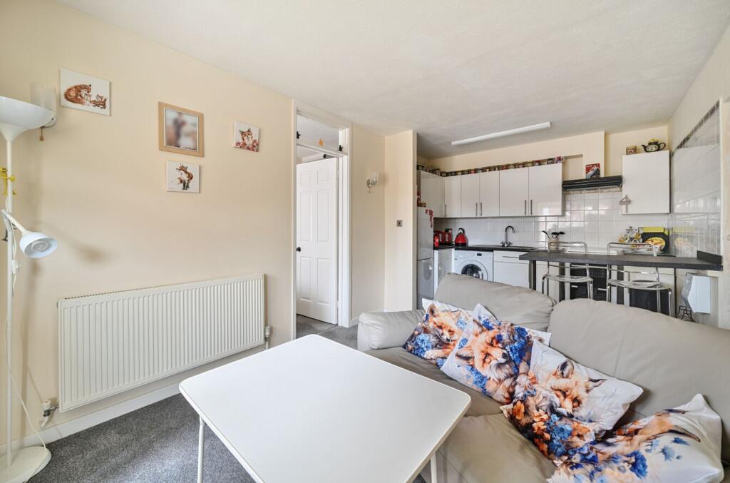 Open plan living room and kitchen