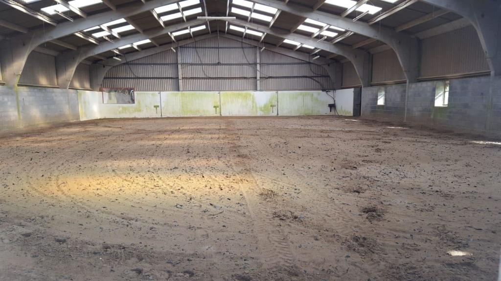Horse Arena