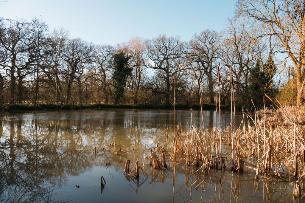 Lake