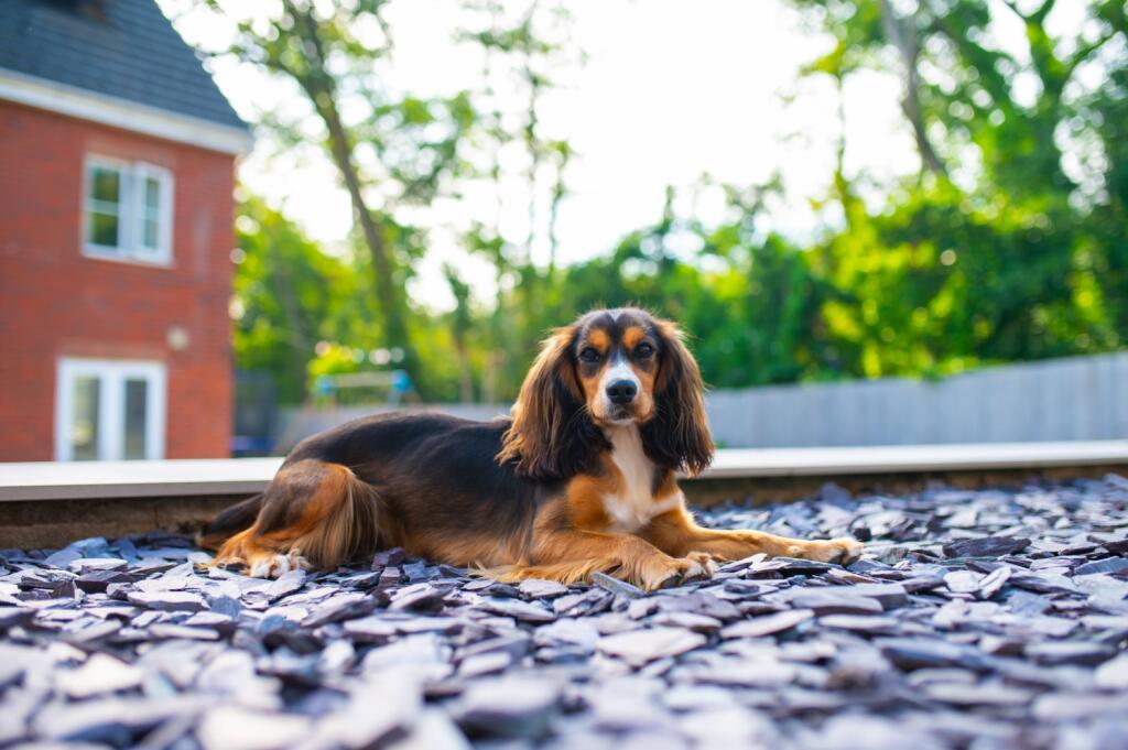 Award-winning Media team on EVERY Listing_17