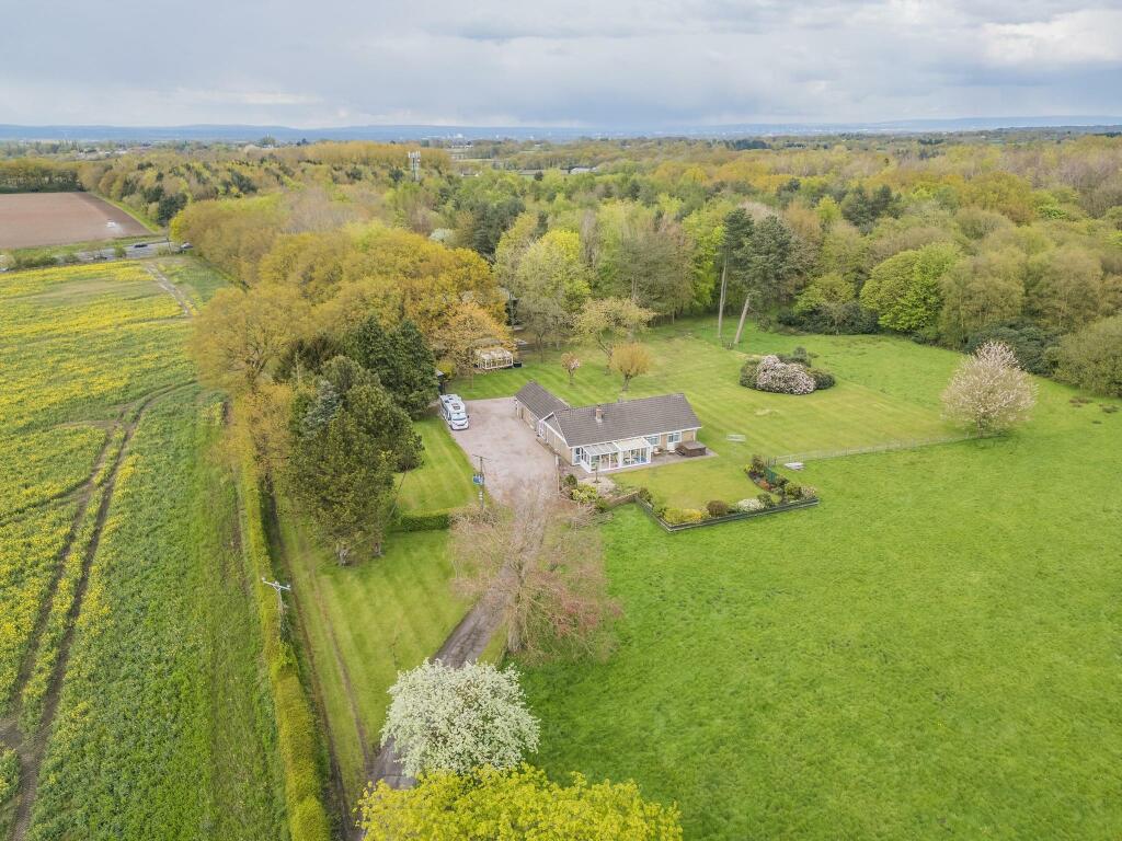 20240410-DJI_0872.jpg