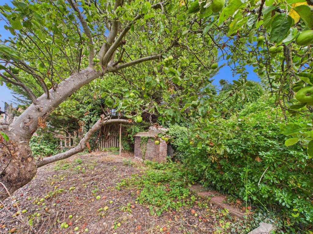 CAM03779G0-PR0264-STILL010