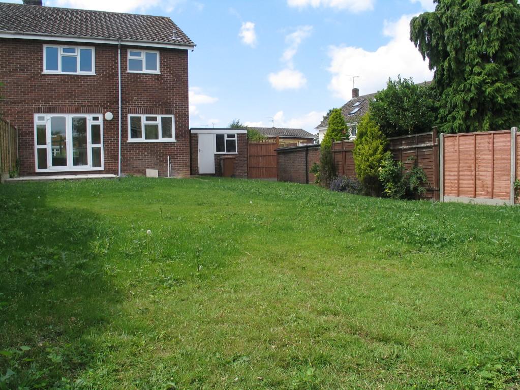 Back Garden