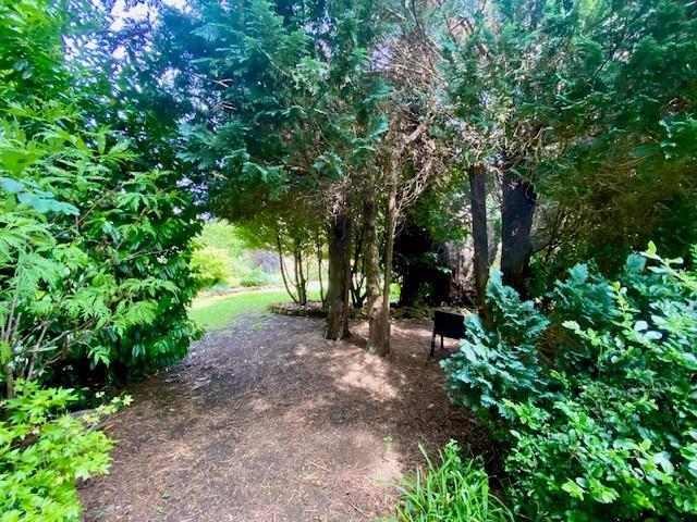 Wooded Area