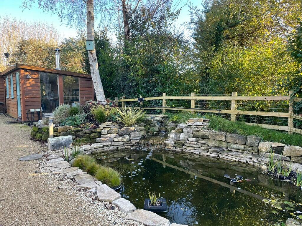 Pond