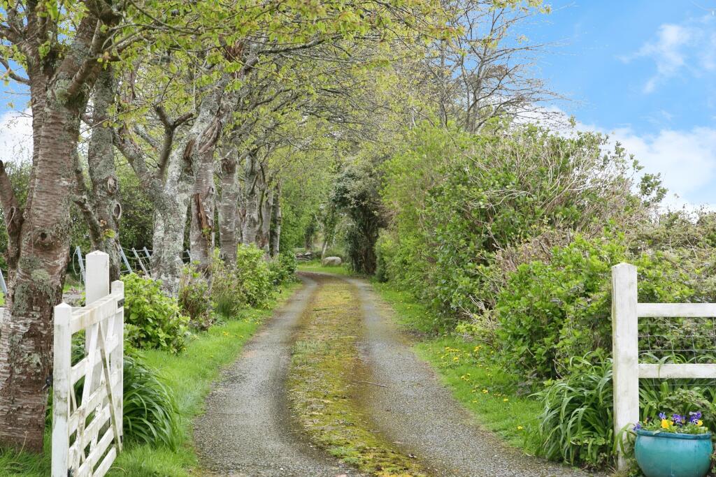 Driveway