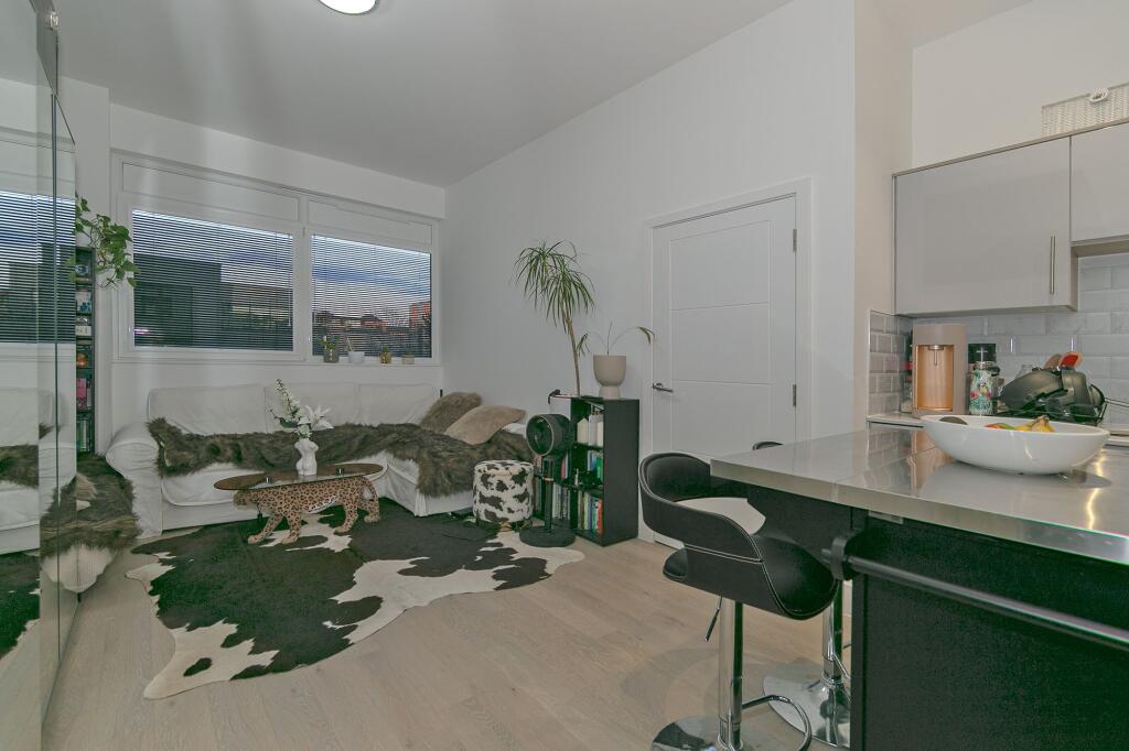 Kitchen/Living/Dining Room