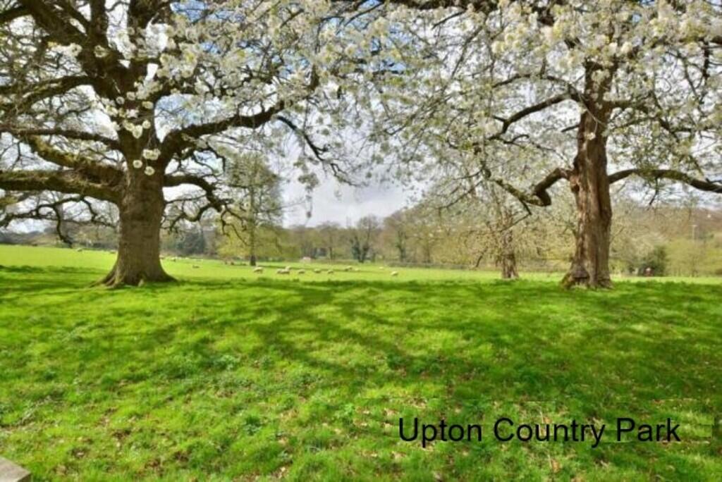 63939_26938513_IM...