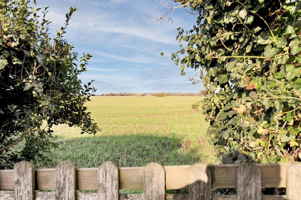 FIELD VIEW