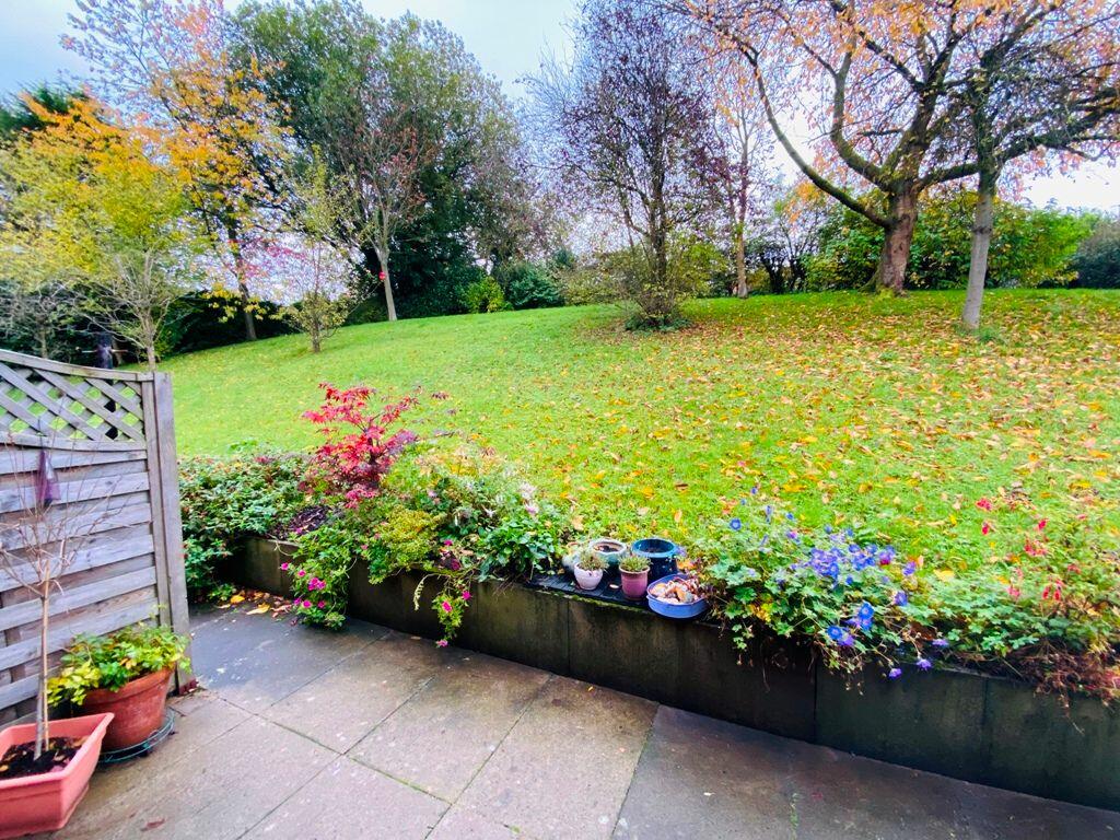 Communal Gardens